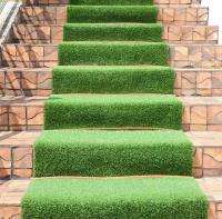 Synthetic Grass Living image 10
